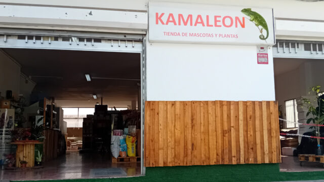 Kamaleón Mascotas y Plantas