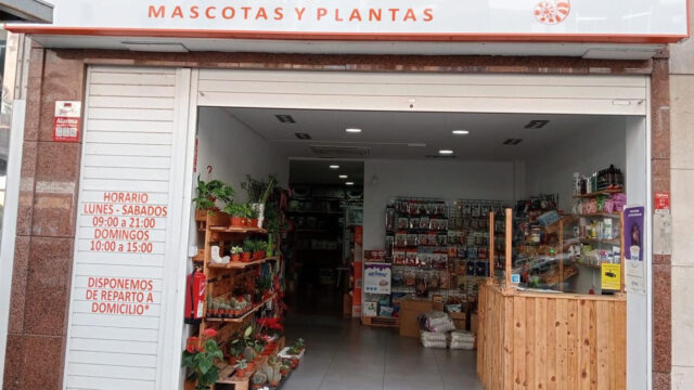Kamaleón Mascotas y Plantas