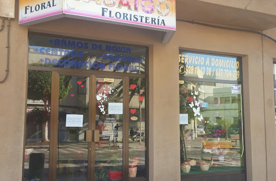 Floristería Tasaigo