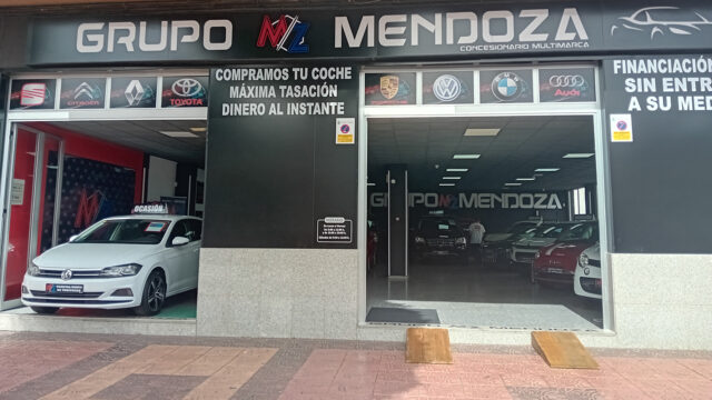 Grupo MZ Mendoza