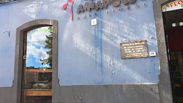 Rojo Amapola Arte Floral