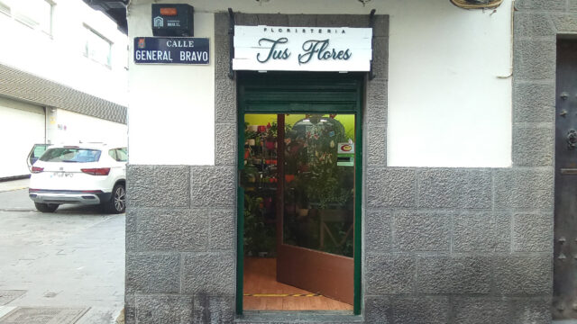 Tus Flores Siempre Frescas