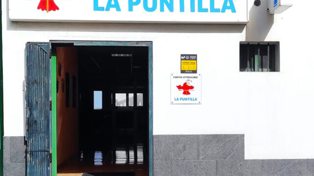 Centro Veterinario la Puntilla