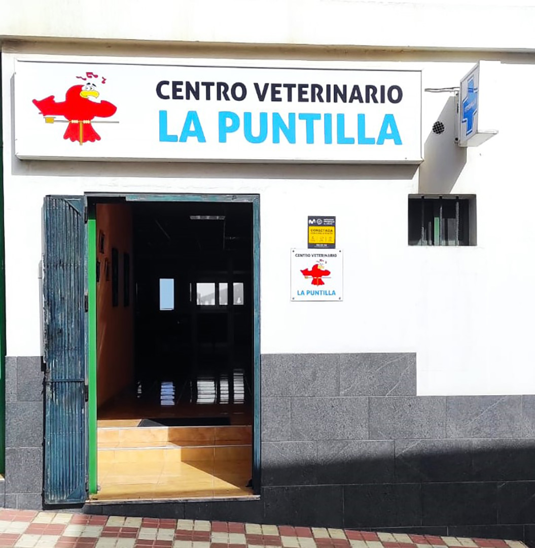 03_VeterinarioLaPuntilla_fachada