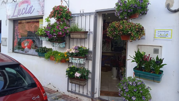 Floristería Lucía