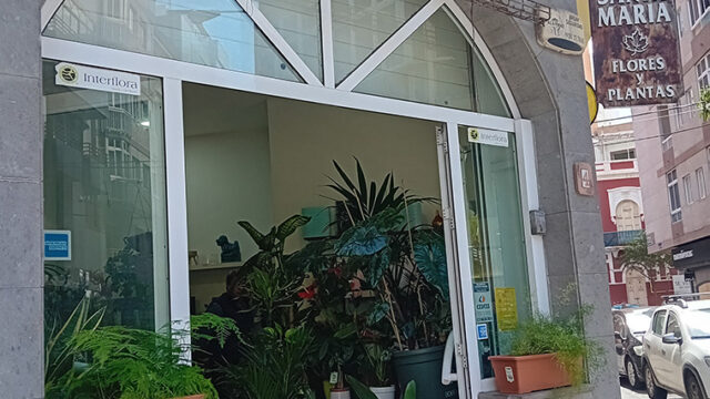 Floristería Santa María
