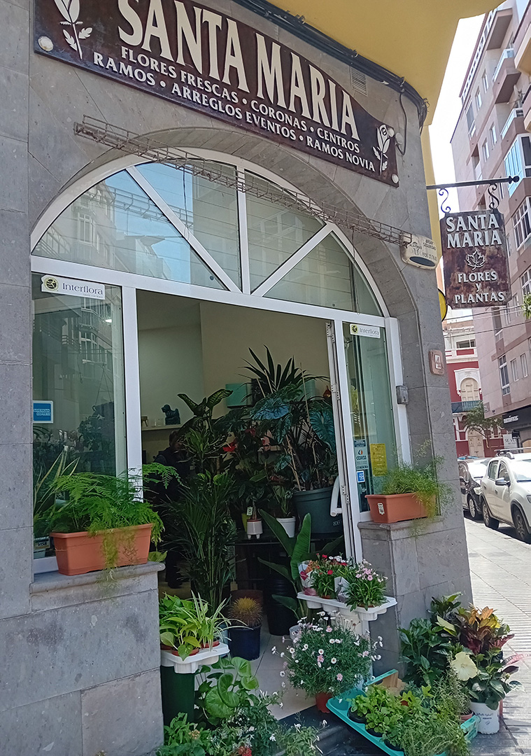 03_floristeriasantamaria_fachada