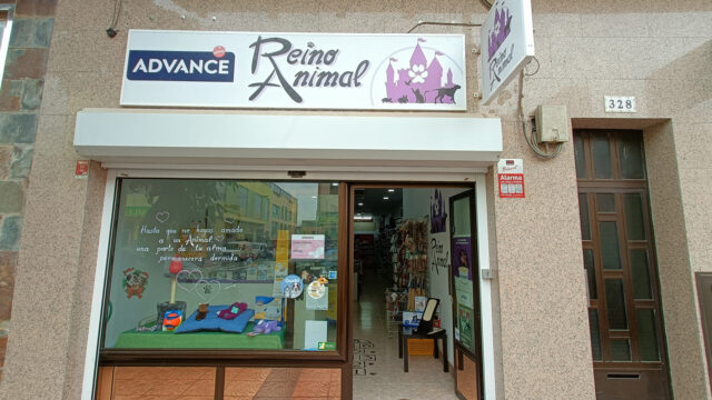 Reino Animal