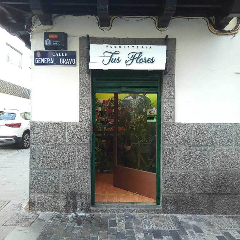 03_Tus flores_Fachada