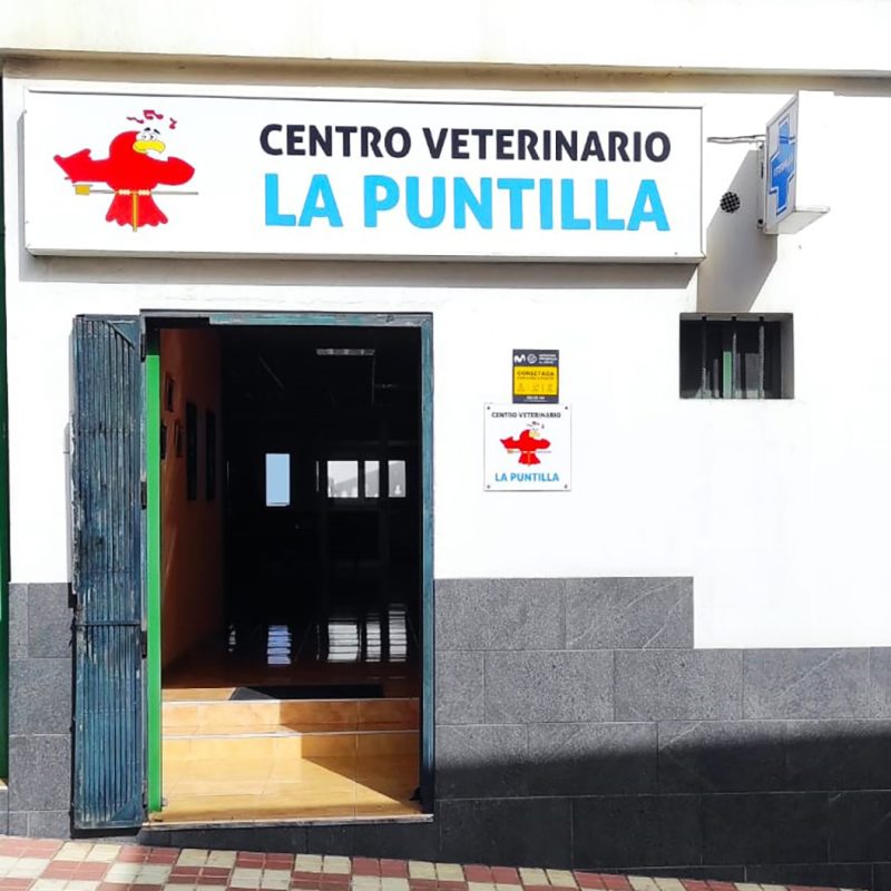 03_VeterinarioLaPuntilla_fachada