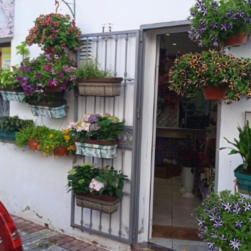03_floristeriaLucia_fahcada2