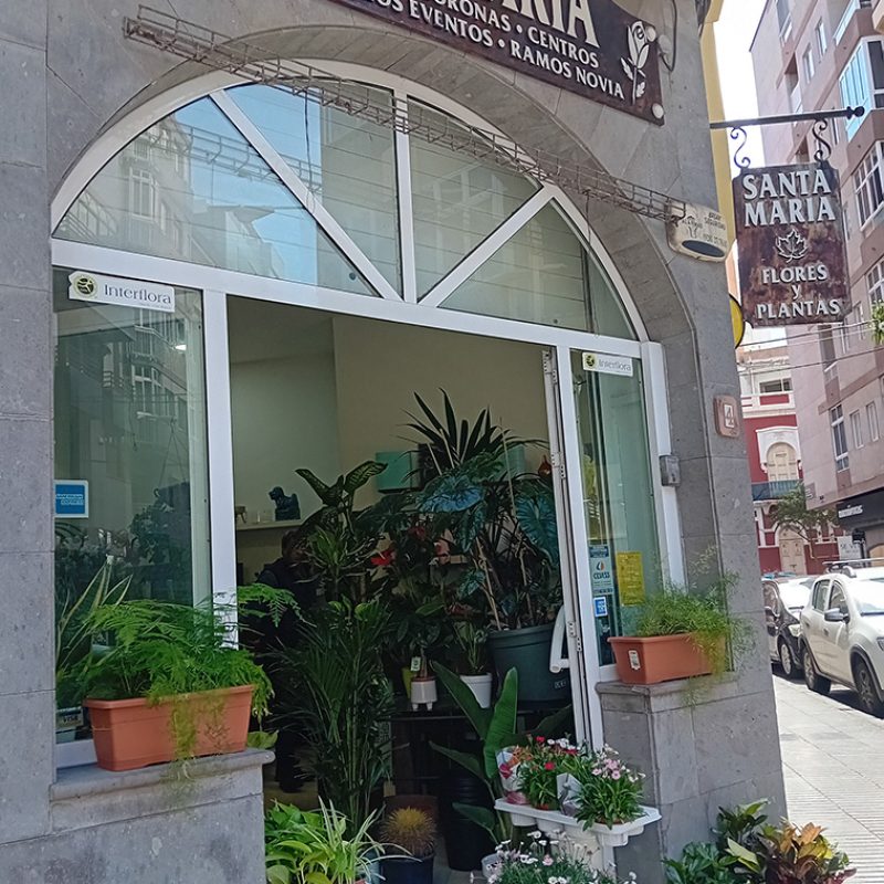 03_floristeriasantamaria_fachada