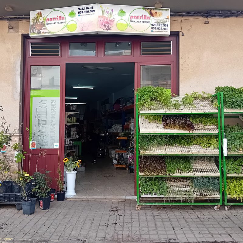 03_semillasypiensosparrilla_fachada